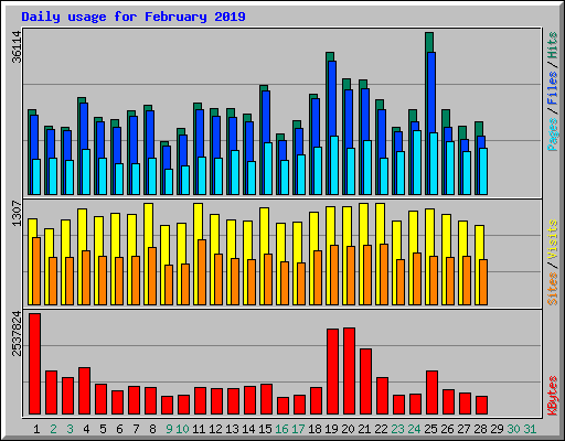 Daily usage for February 2019