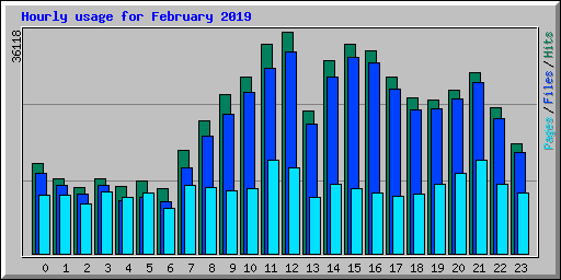 Hourly usage for February 2019
