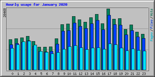 Hourly usage for January 2020