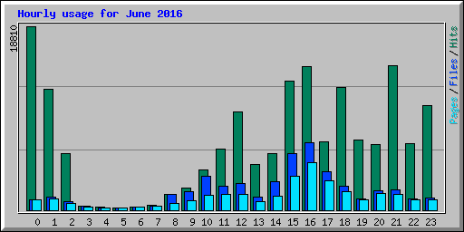 Hourly usage for June 2016
